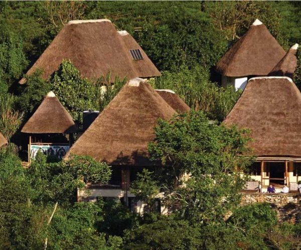 Bwindi-Overview
