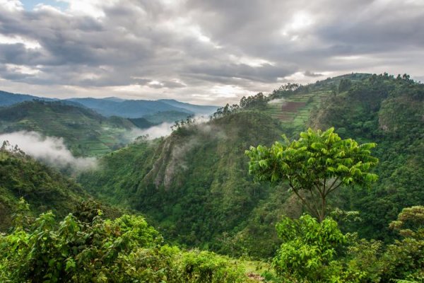 Uganda Travel Information