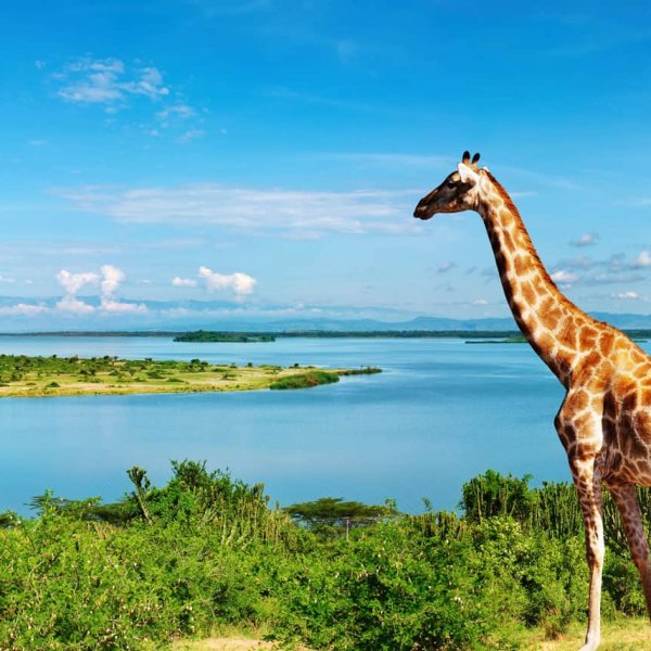 facts-about-uganda