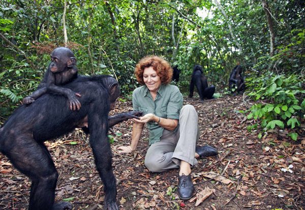 Lola Ya Bonobo Sanctuary