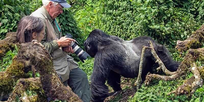 4 Days Rwanda Gorilla Trekking