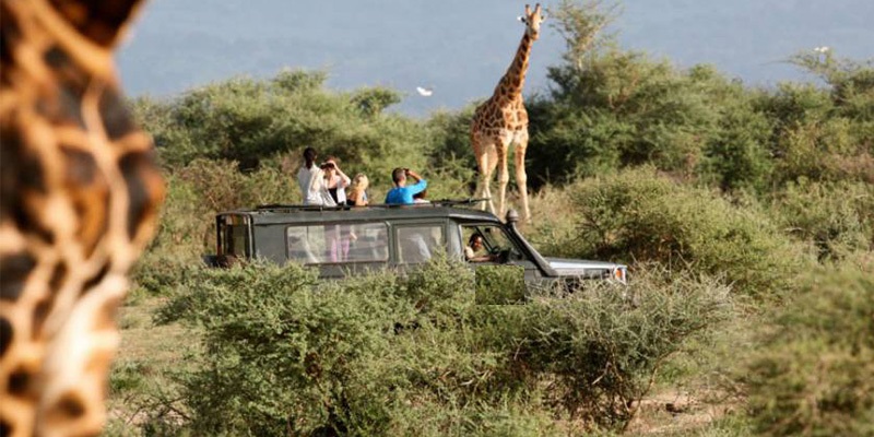 Game Driving Experience In Akagera National Park