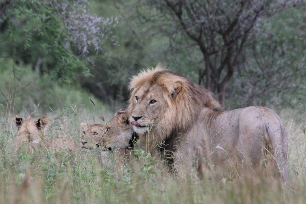 2 Days Tarangire and Ngorongoro Crater Tour