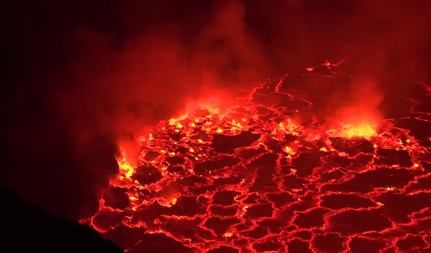 8 Days Rwanda Congo Uganda Safari