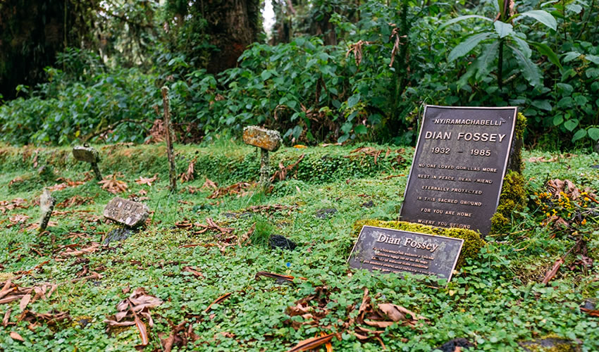 Dian Fossey Hiking Rwanda Tour