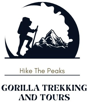 Gorilla Trekking and Tours